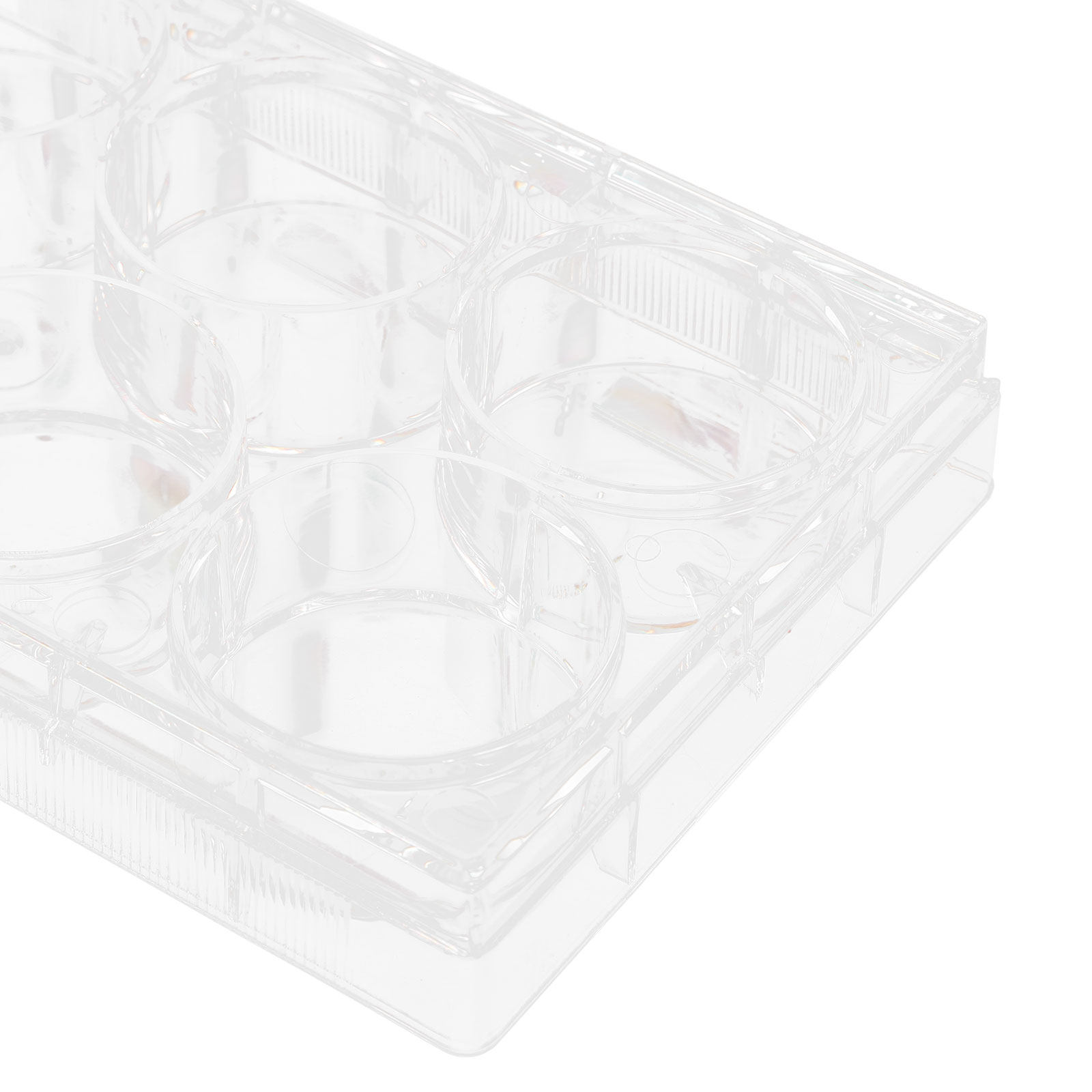 Tissue Culture Plate Lab Durab - Lab Equipment recension och pris