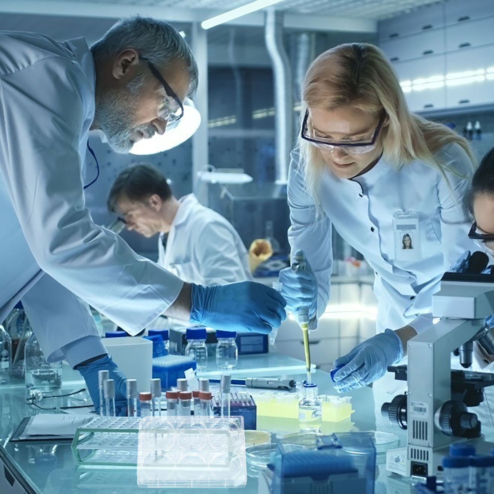 Tissue Culture Plate Lab Durab - Lab Equipment recension och pris